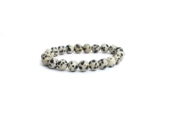 Dalmation Jasper 8 mm Stretch Bracelet - Image 2