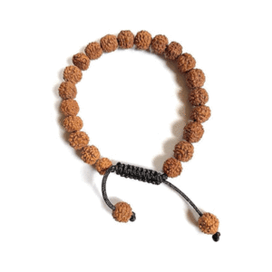 Rudraksh Shiv SHakti Mahadev Ji Blessing Adjustable Lucky Crystal Bracelet For Men and Women