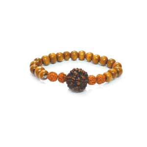 Natural Panch Mukhi 5 Mukhi Rudraksh Charm Bracelet