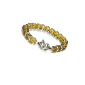 Shivling Shiv ji Blessings Bracelet Lucky Charm Bracelet