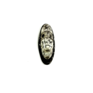Natural Kuber Orthoceras Crystal Finance Loose Crystal