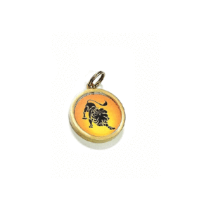 Singh Rashi Leo Zodiac Yantra Mantra Brass Lucky Charm pendant