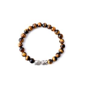 Tiger Eye Double Buddha Powered 8 mm Stretch Bracelet